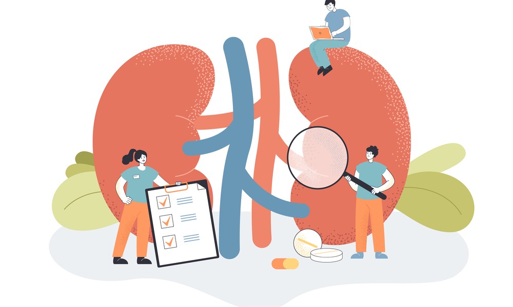 保存期CKDで透析導入前に知っておきたい相談の目安と準備
